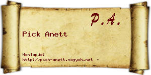 Pick Anett névjegykártya